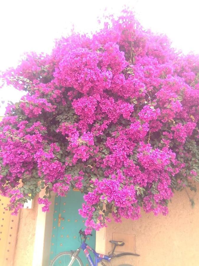 Riad Zidania Тарудант Экстерьер фото